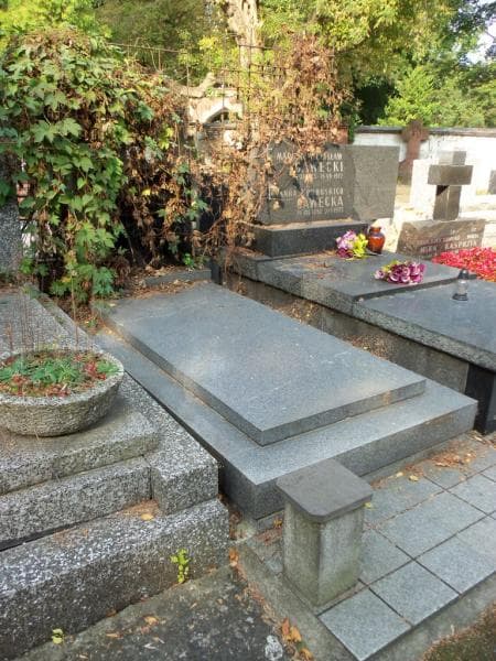 Zdjęcie grobu Stanisław Grzeszczyk (1)