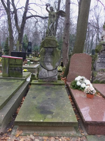 Zdjęcie grobu: Aniela Baranowska