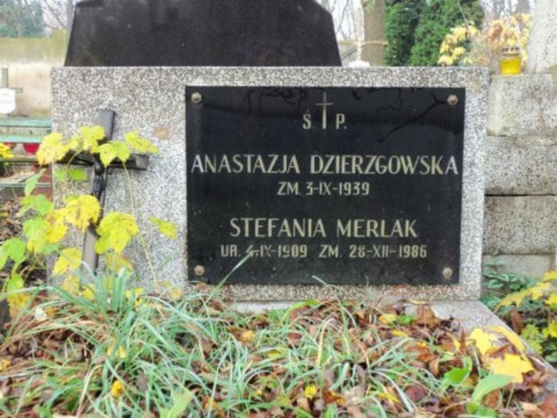 Zdjęcie grobu Anastazja Dzierzgowska (2)