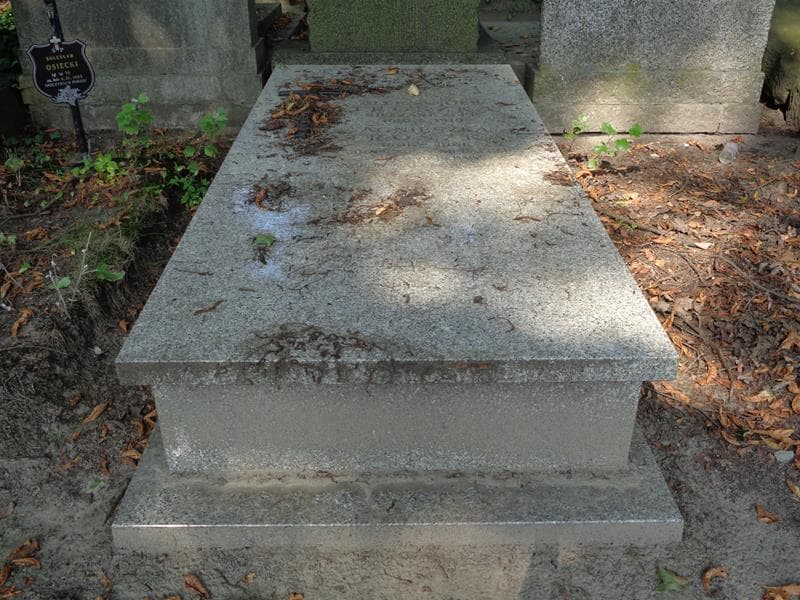 Zdjęcie grobu Aleksander Troszka (1)