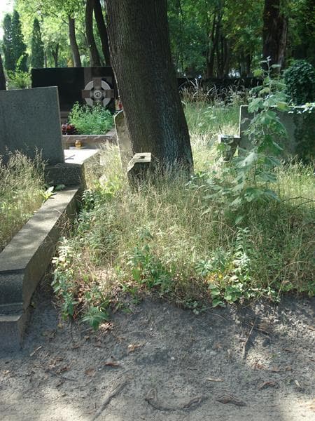 Zdjęcie grobu: Bronisława Paszkiewicz