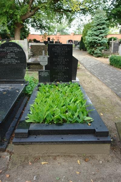 Zdjęcie grobu Aleksander Klimowicz (1)