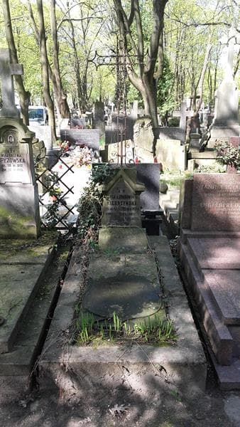 Zdjęcie grobu: Irena Paulina Janczakowa