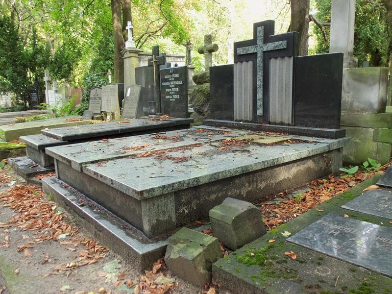 Zdjęcie grobu Ludwik Perkowski (1)