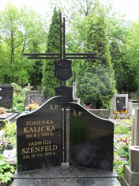Zdjęcie grobu Jadwiga Szenfeld (2)