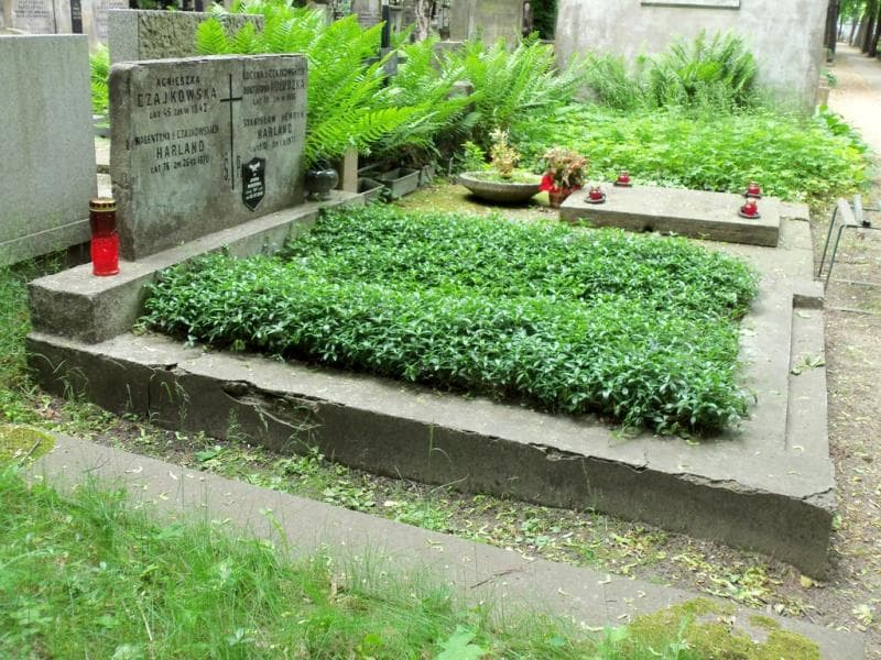 Zdjęcie grobu Walentyna Harland (1)