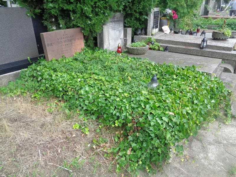 Zdjęcie grobu: Stanisław Bornsztajn - Kucharski