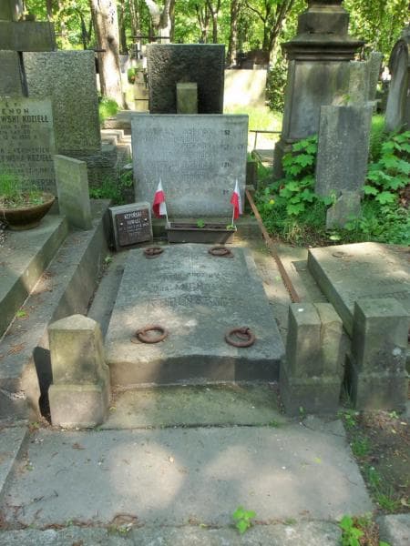 Zdjęcie grobu: Witold Kępiński