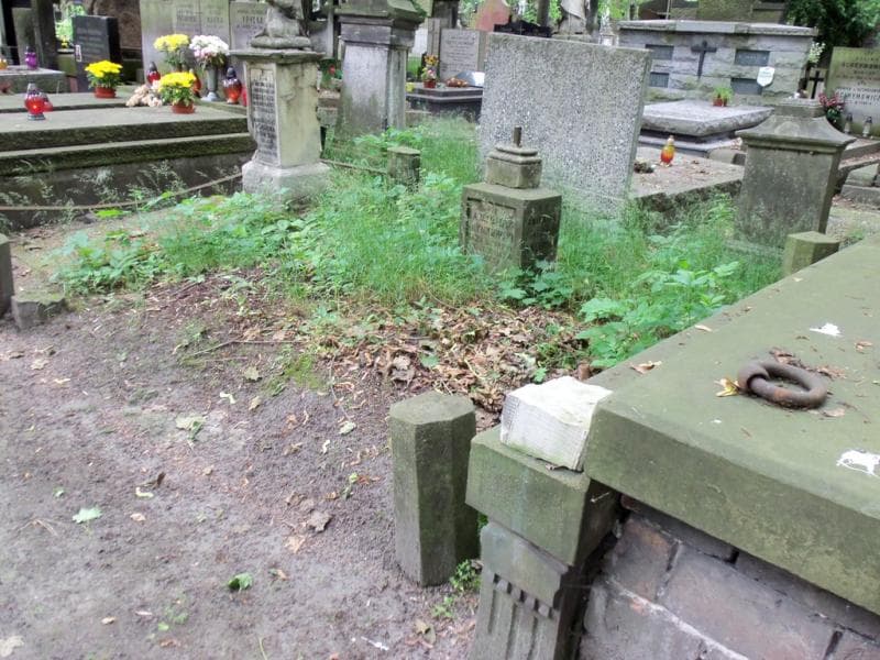 Zdjęcie grobu Adalbert Rynkowski (1)