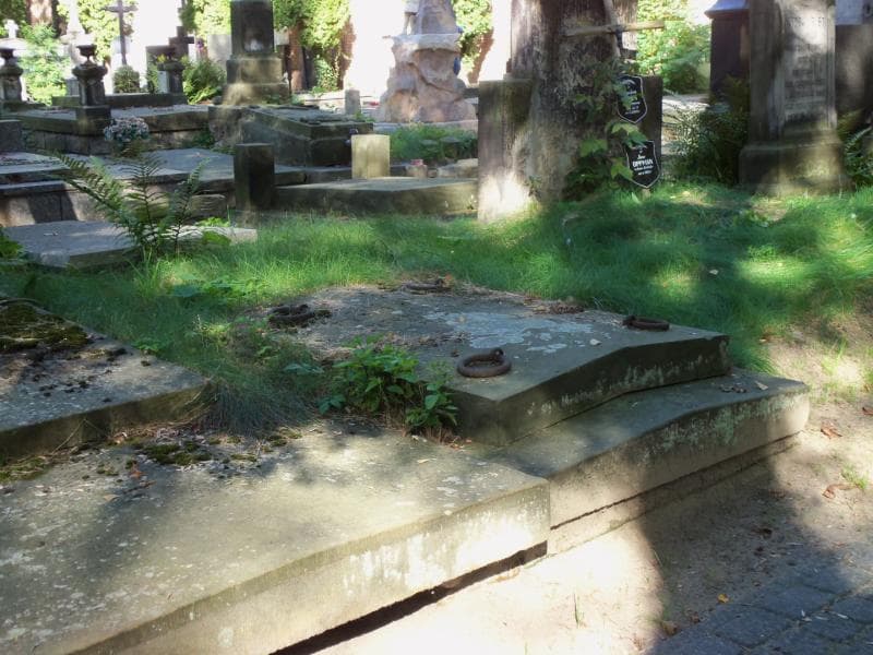 Zdjęcie grobu Antoni Tymiński (2)