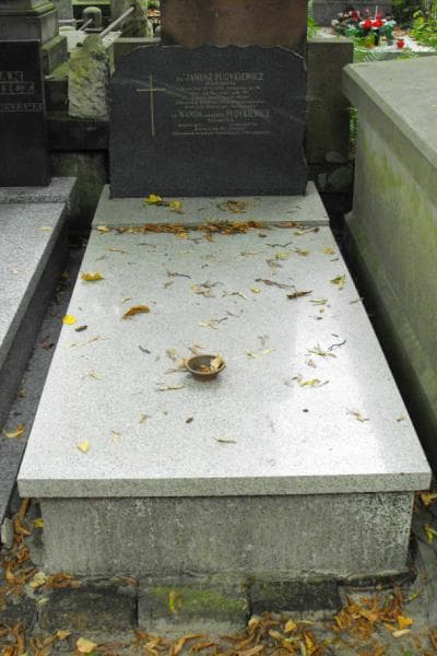 Zdjęcie grobu: Janusz Pudykiewicz