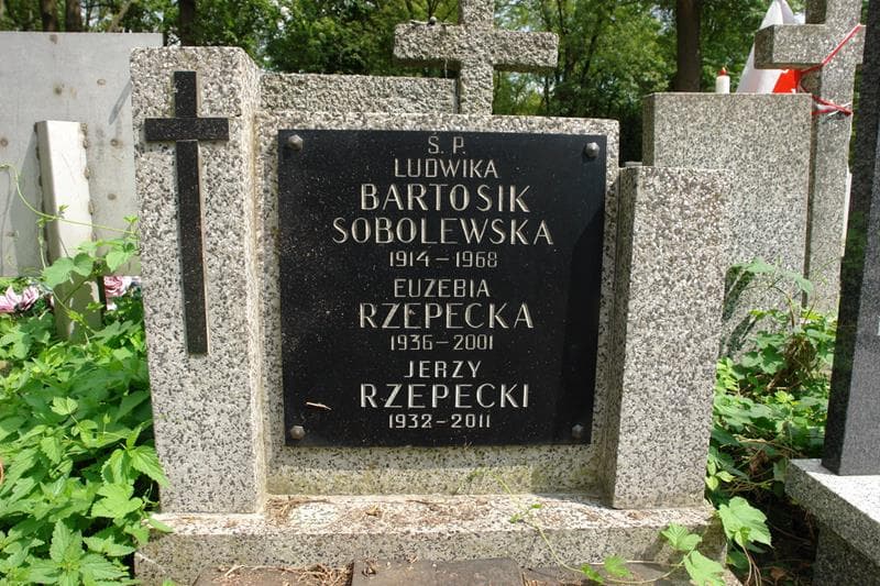 Zdjęcie grobu Ludwika Bartosik Sobolewska (2)