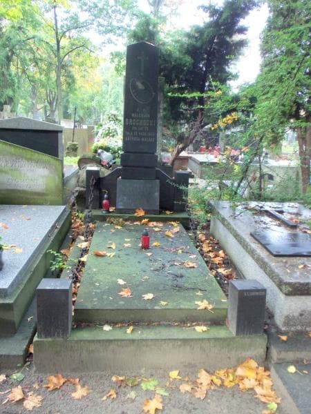 Zdjęcie grobu: Zofia Brochocka