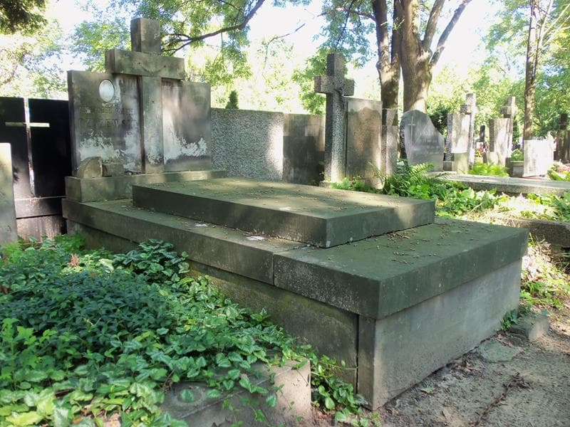 Zdjęcie grobu Aleksander Andrzej Czyżewski (1)