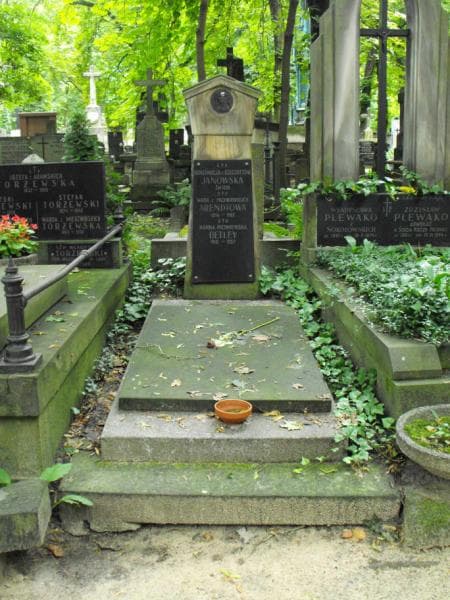 Zdjęcie grobu: Konstancja Janowska