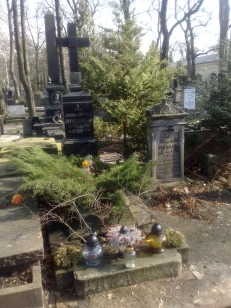 Zdjęcie grobu: Jadwiga Zdziechowska