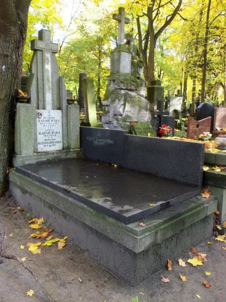 Zdjęcie grobu Michalina Brzoza-Karniewska (1)