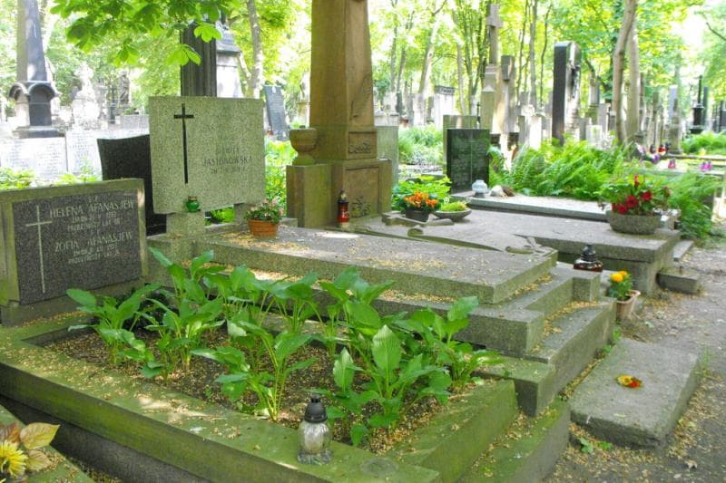 Zdjęcie grobu Tadeusz Jasionowski (2)