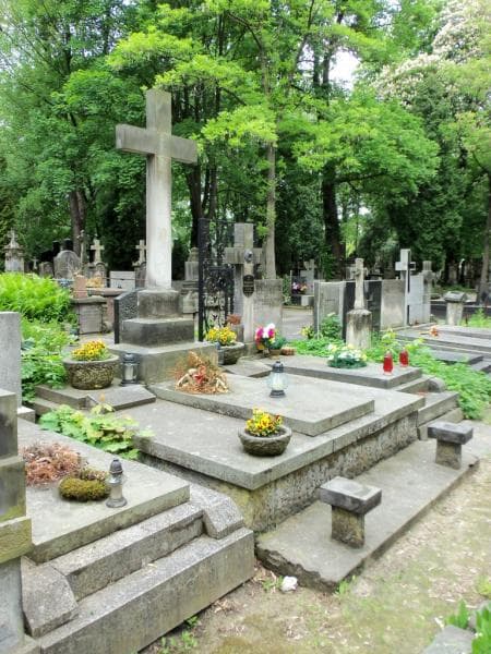 Zdjęcie grobu Wanda Pogorzelska (1)
