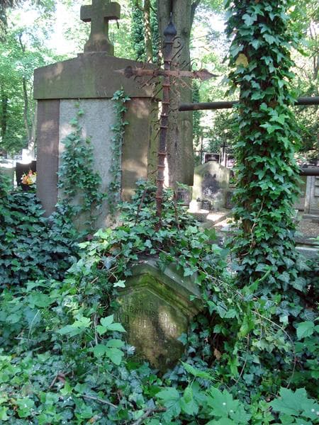 Zdjęcie grobu Franciszek Kozłowski (1)