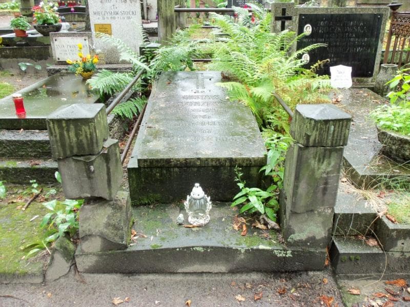 Zdjęcie grobu: Gustaw Strzeszewski