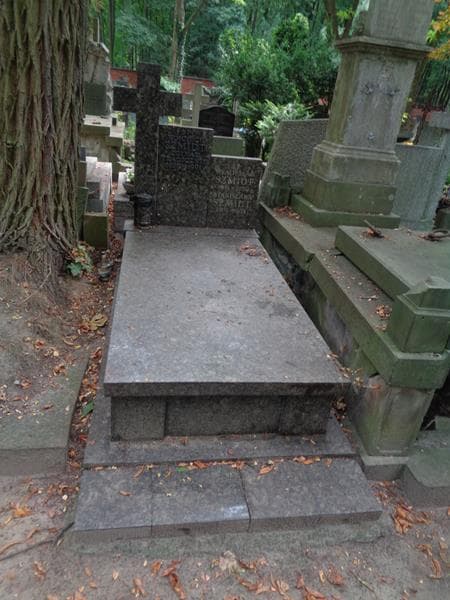 Zdjęcie grobu Władysław Szmidt (1)