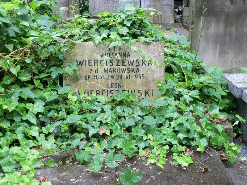 Zdjęcie grobu Makowscy (2)