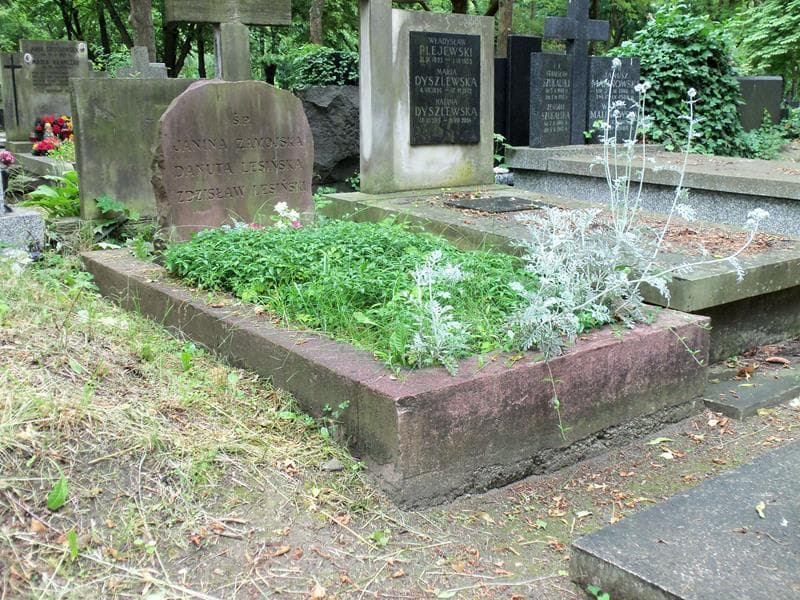 Zdjęcie grobu Zdzisław Lesiński (1)