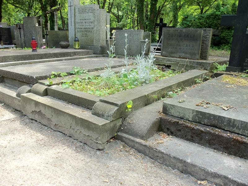 Zdjęcie grobu Halina Cała (1)
