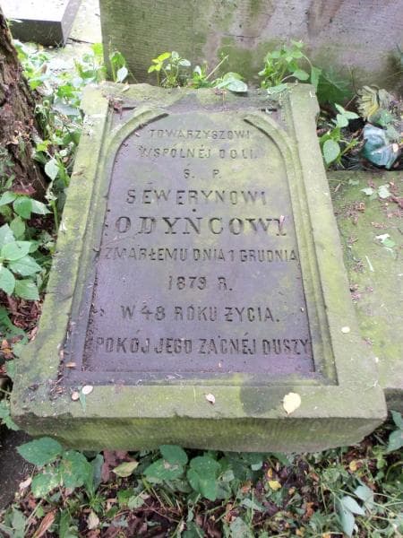 Zdjęcie grobu Seweryn Odyniec (2)