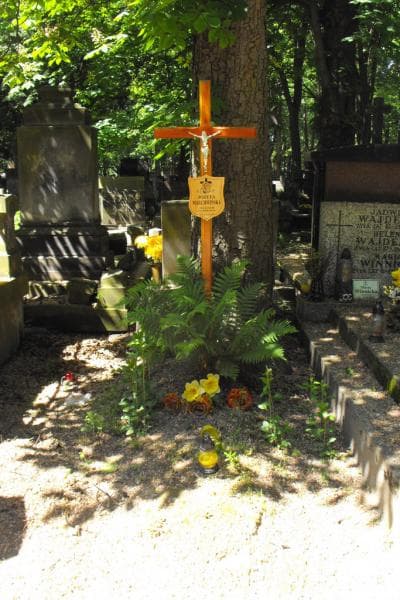 Zdjęcie grobu: Józefa Marchwińska