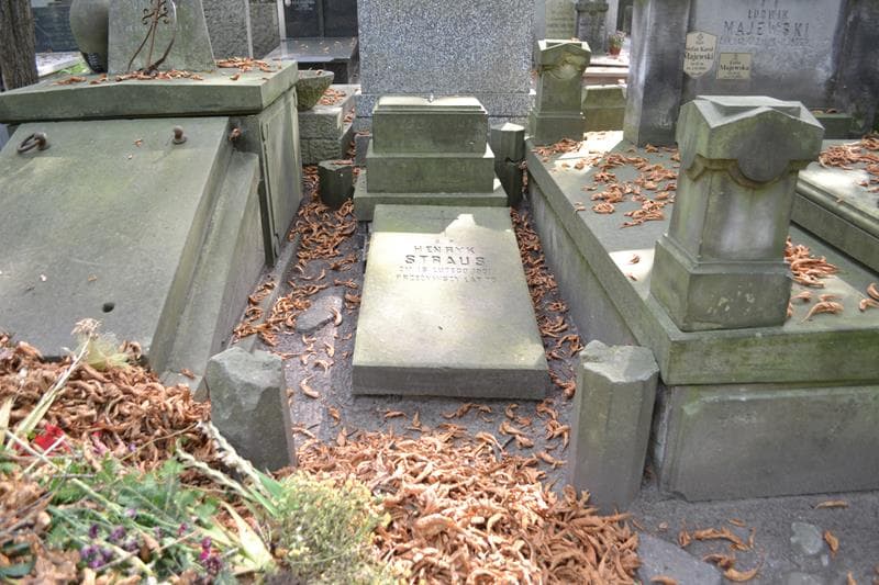 Zdjęcie grobu Henryk Straus (1)