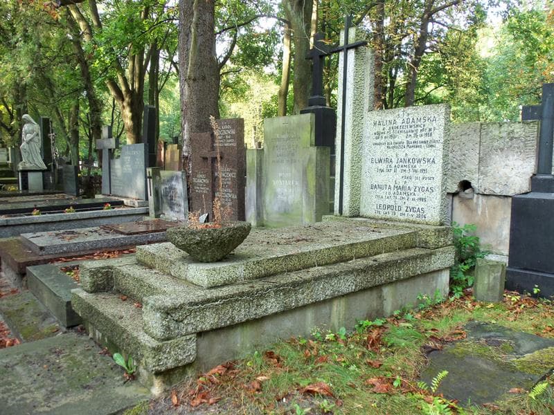Zdjęcie grobu Elwira Jankowska (1)