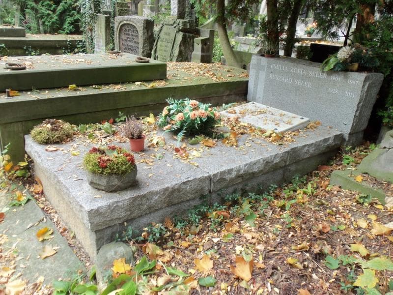 Zdjęcie grobu Emilia Zofia Seler (1)