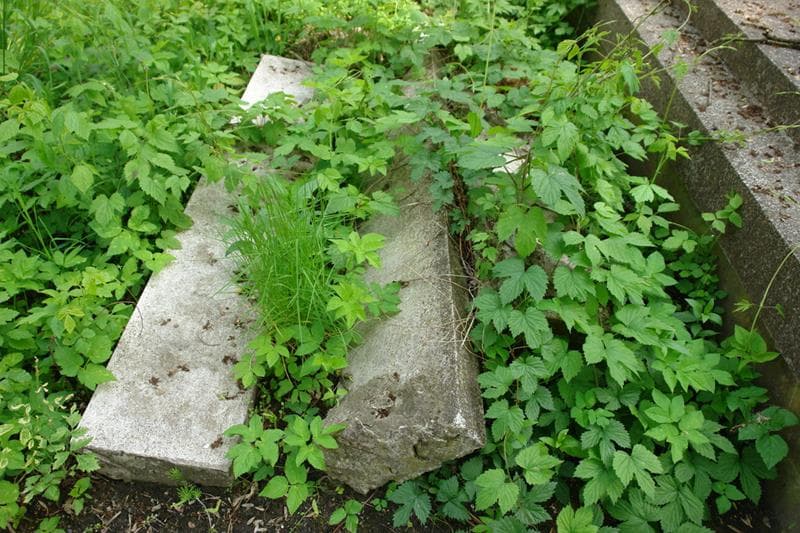 Zdjęcie grobu Pole Grobowe (2)