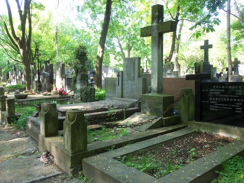 Zdjęcie grobu Henryk Myszkowski (1)