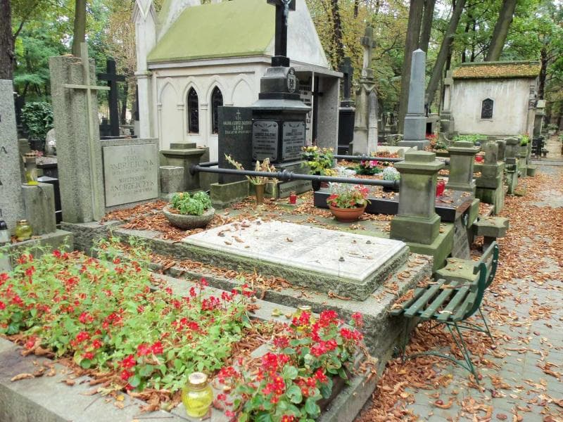Zdjęcie grobu Anna Opaleńska (1)