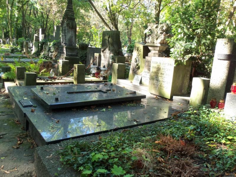 Zdjęcie grobu Janusz Aleksander Górski (1)