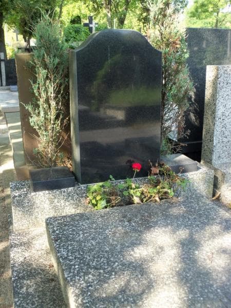 Zdjęcie grobu Duczyńscy (2)