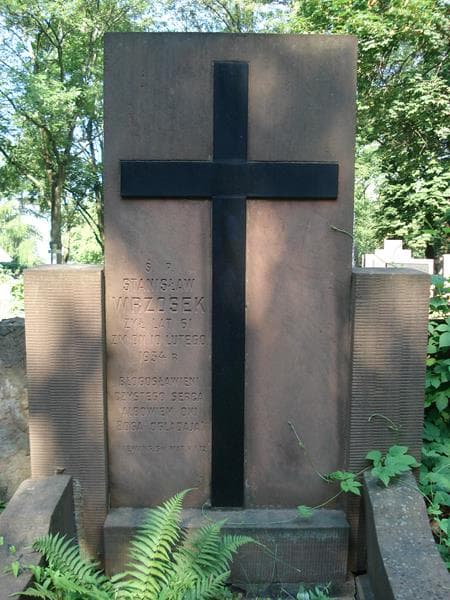Zdjęcie grobu Stanisław Wrzosek (2)