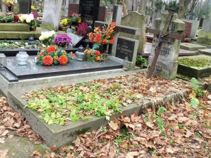 Zdjęcie grobu Aleksander Bzowski (1)