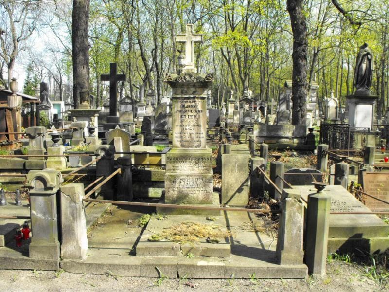 Zdjęcie grobu: Emilja Kluczyńska