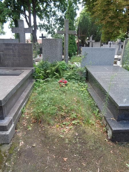 Zdjęcie grobu Pole Grobowe (1)