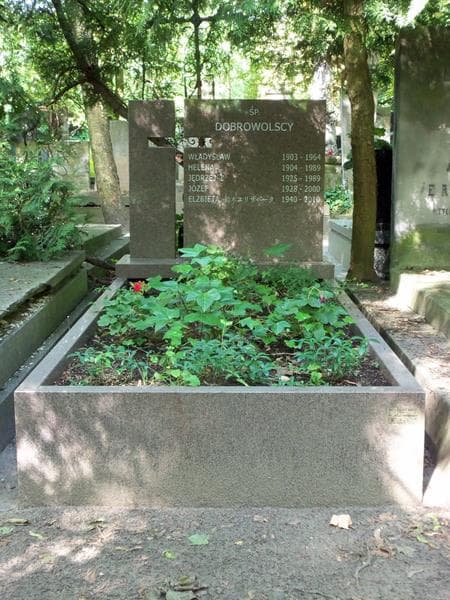 Zdjęcie grobu: Władysław Dobrowolski