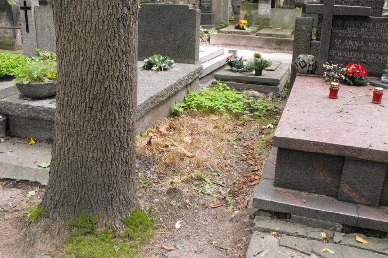 Zdjęcie grobu: Pole Grobowe