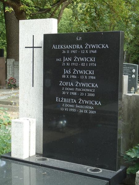 Zdjęcie grobu Jaś Żywicki (2)
