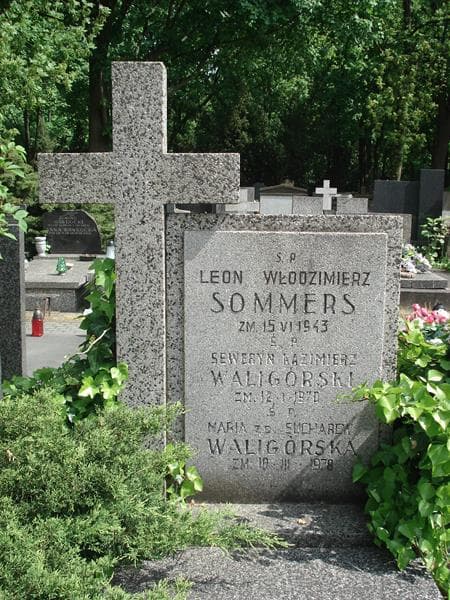 Zdjęcie grobu Seweryn Kazimierz Waligórski (1)