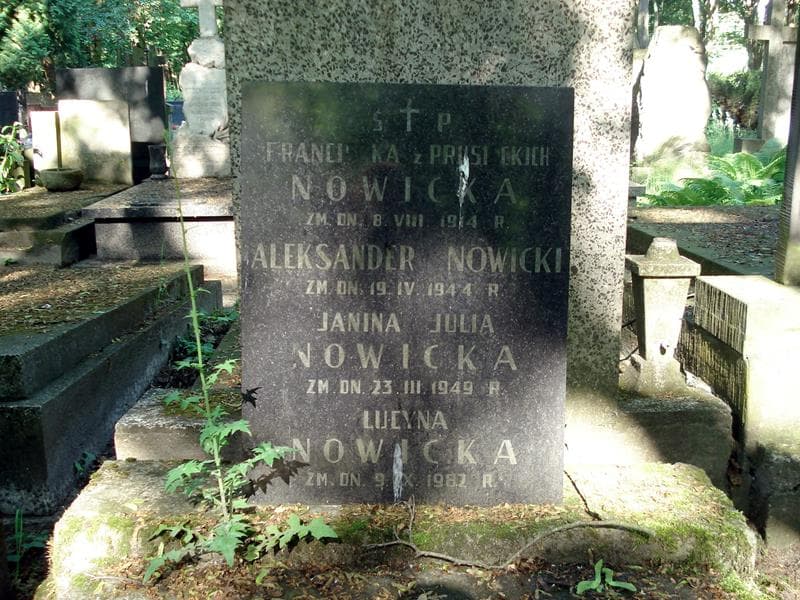 Zdjęcie grobu Lucyna Nowicka (1)