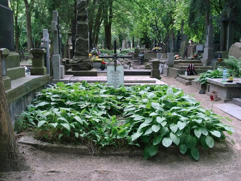 Zdjęcie grobu: Maria Jankowska