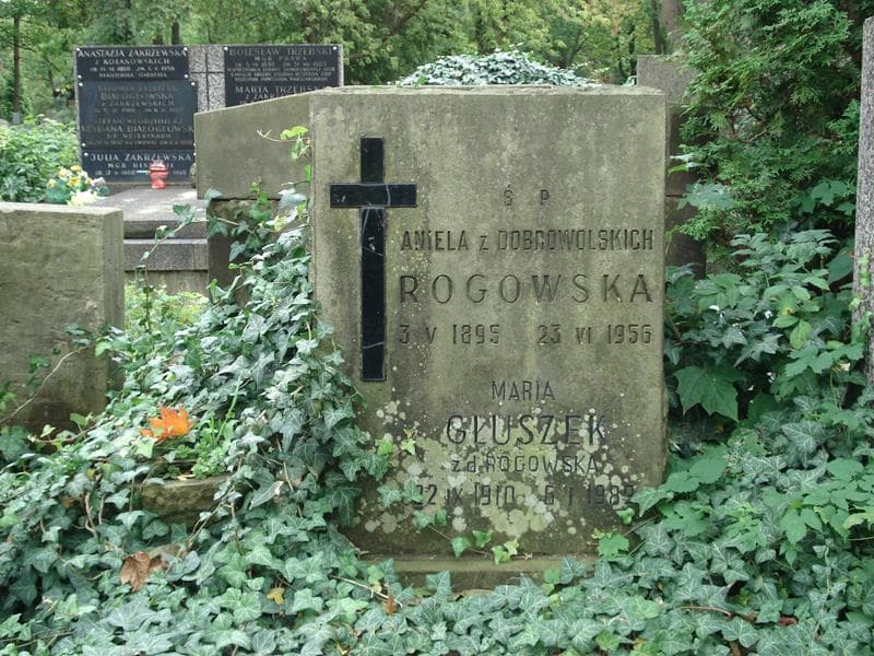 Zdjęcie grobu Maria Głuszek (2)